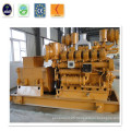 Hot Sale 500kw Biomass Electricity Generator with Syngas Gas Generator